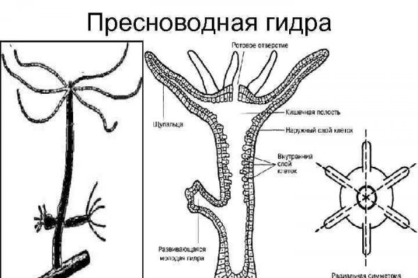 Кракен маркетплейс что это